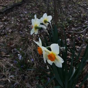 Meet your Posher, Tu